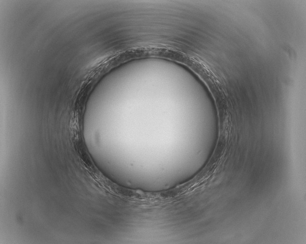 X0000115811062200912041602