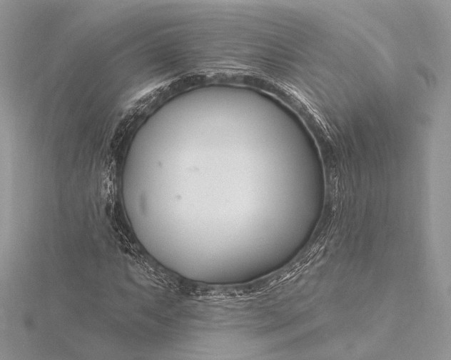 X0000115811063200912041602