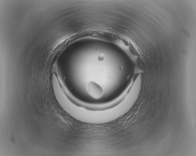 X0000115811064200912041602
