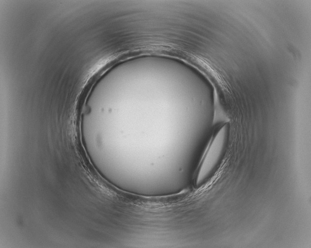 X0000115811071200912041602