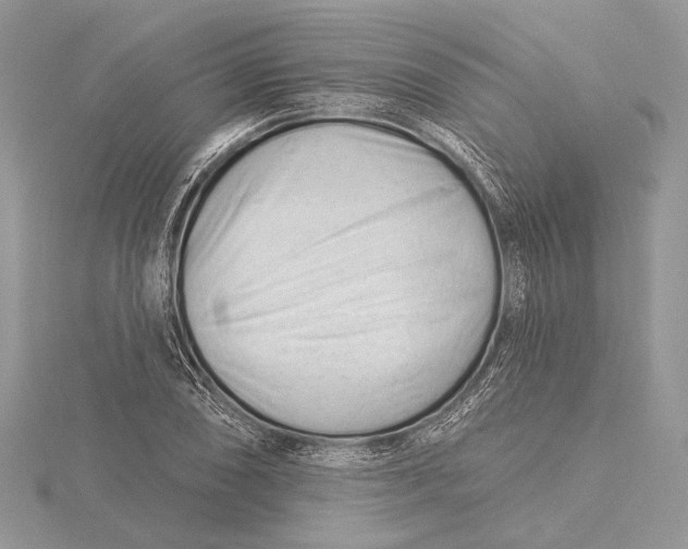X0000115811074200912041602