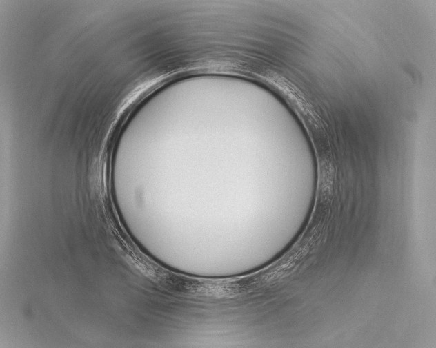 X0000115811078200912041602