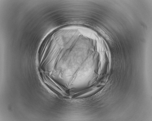 X0000115811084200912041601