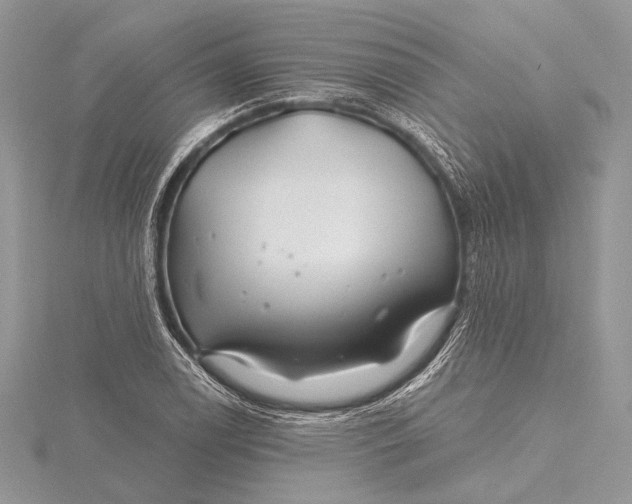 X0000115811122200912041601