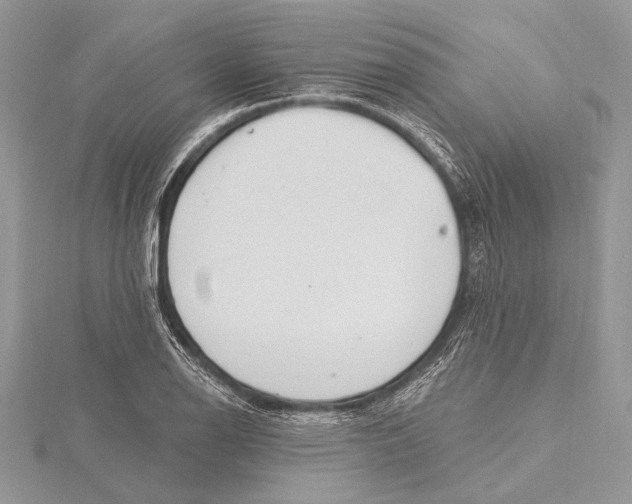 X0000115811126200912041601