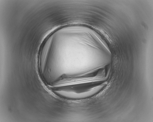 X0000115811134200912041601