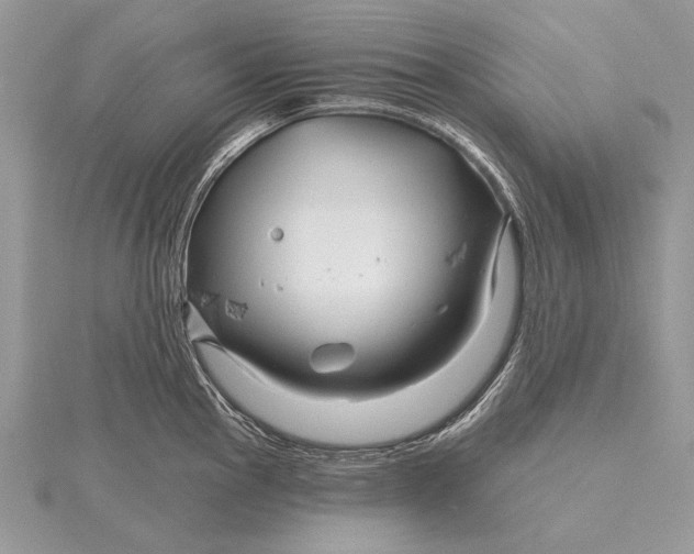 X0000115811145200912041601