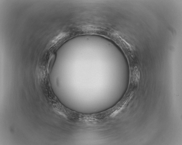 X0000115811157200912041600