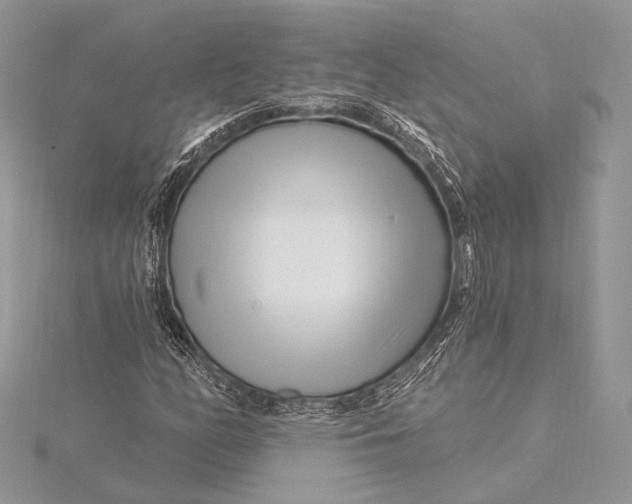 X0000115811158200912041600