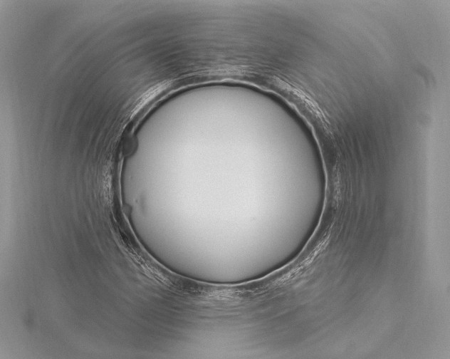 X0000115811162200912041600