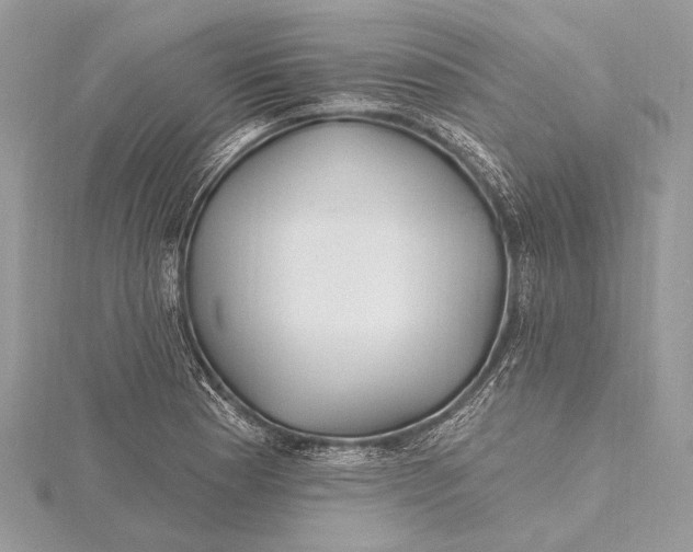 X0000115811177200912041600