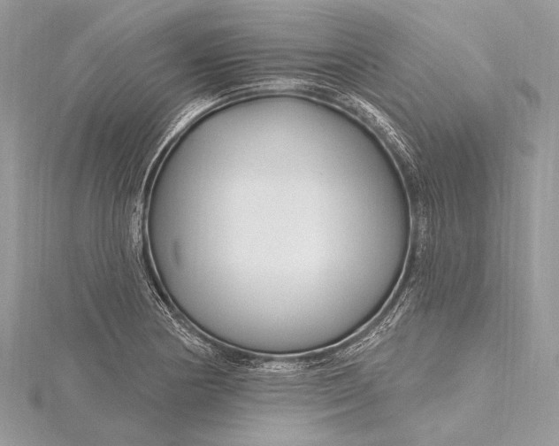 X0000115811178200912041600