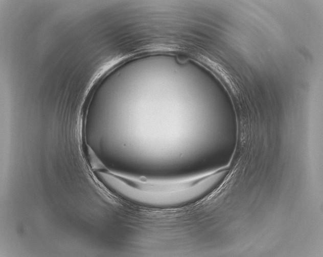 X0000115811179200912041600