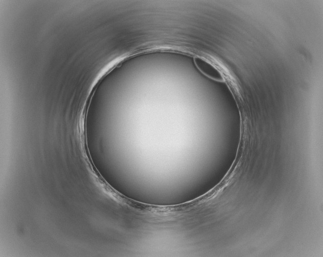 X0000115811198200912041600