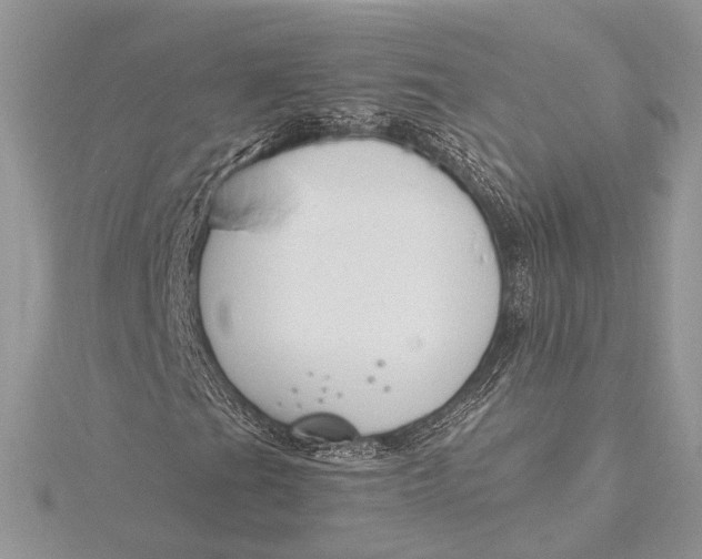X0000115811201200912041559