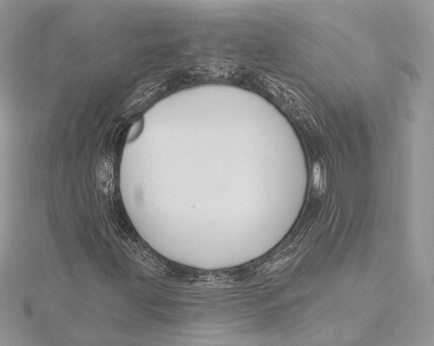 X0000115811203200912041559