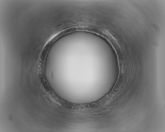 X0000115811208200912041559