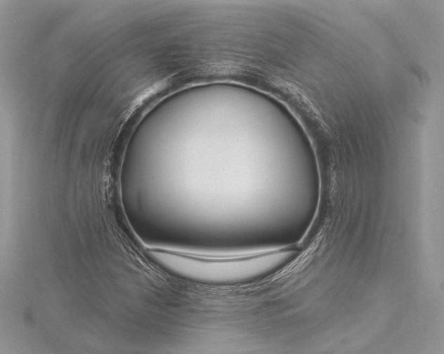 X0000115811210200912041559