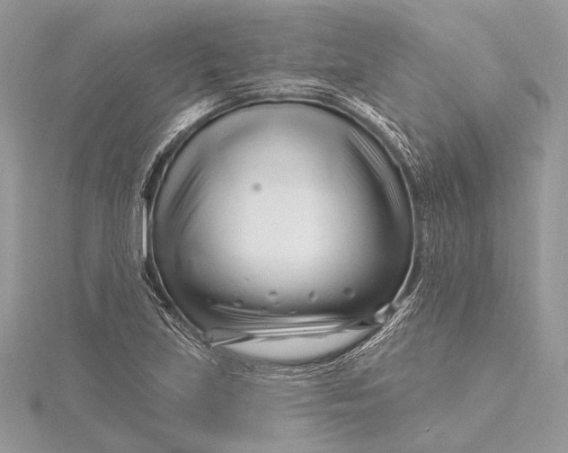 X0000115811219200912041559