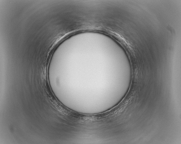 X0000115811220200912041559