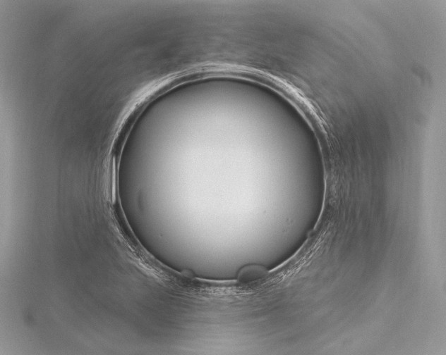 X0000115811223200912041559