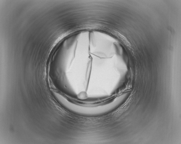 X0000115811226200912041559
