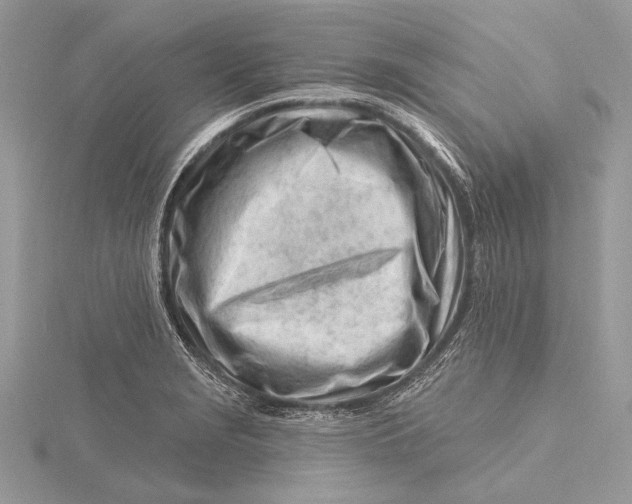 X0000115811229200912041559
