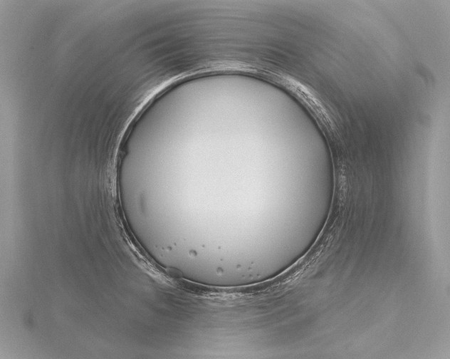 X0000115811236200912041559