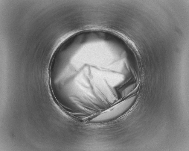 X0000115811239200912041600