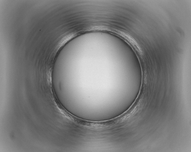 X0000115811241200912041600