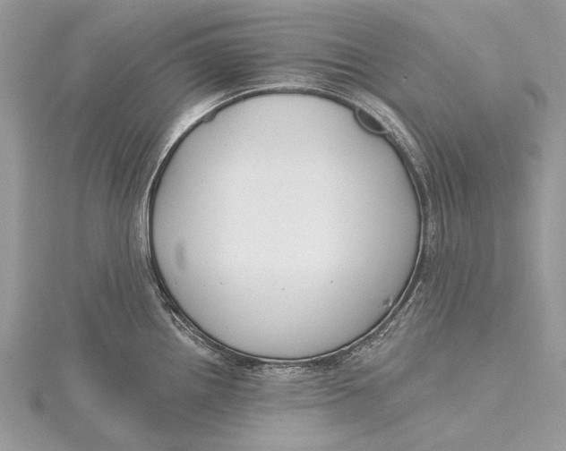 X0000115811242200912041600