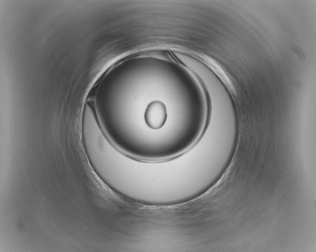 X0000115811244200912041600