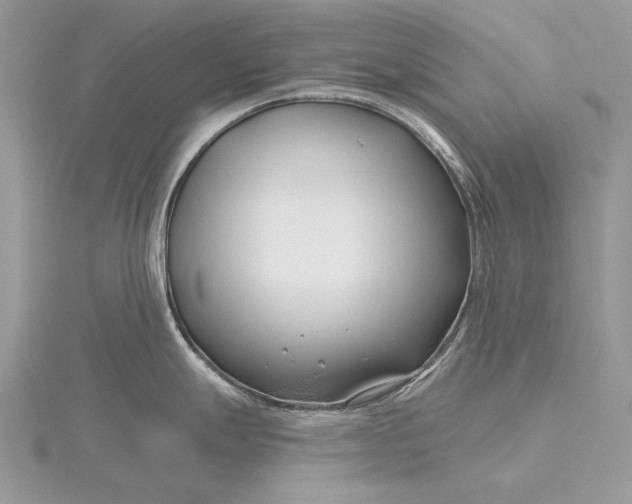 X0000115811247200912041600