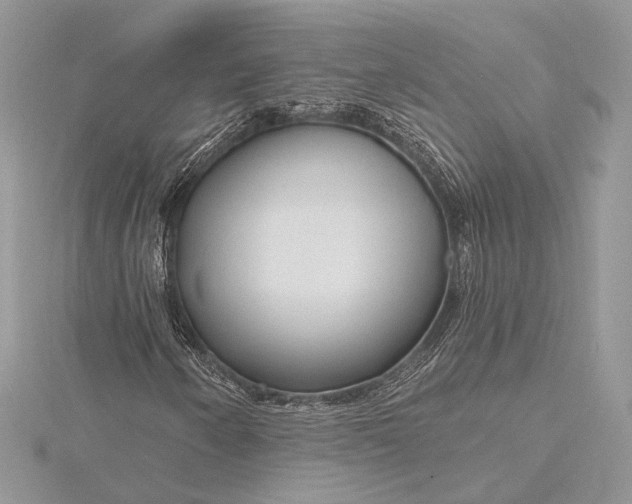 X0000115811250200912041559