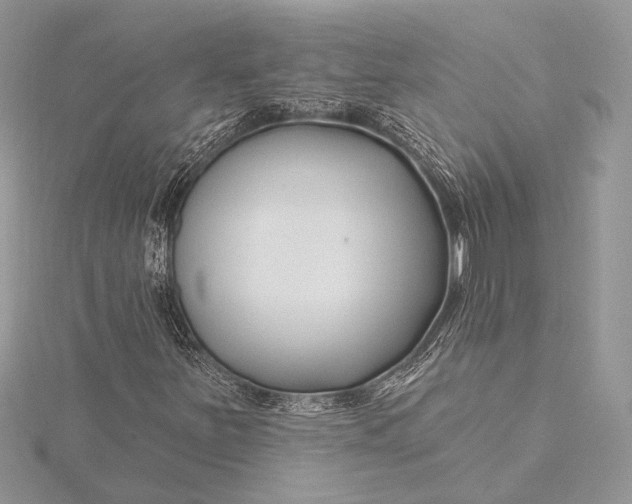 X0000115811251200912041559