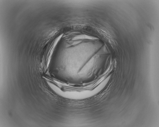 X0000115811252200912041559