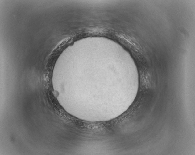 X0000115811254200912041559