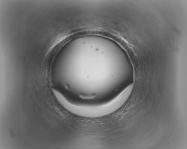 X0000115811255200912041559