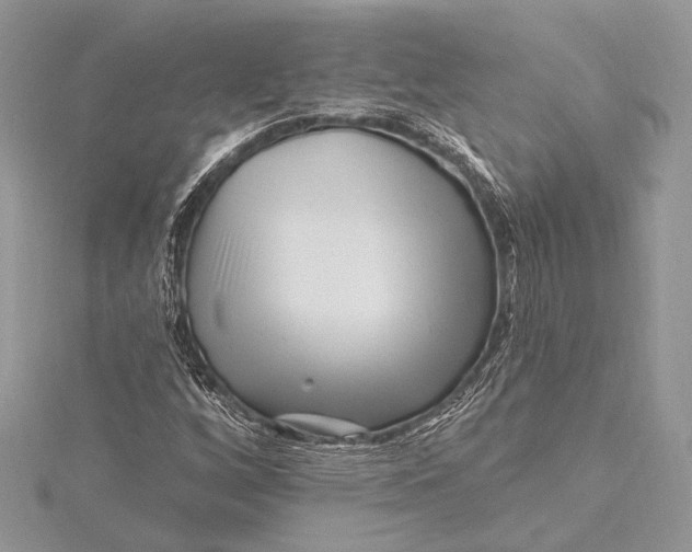 X0000115811256200912041559