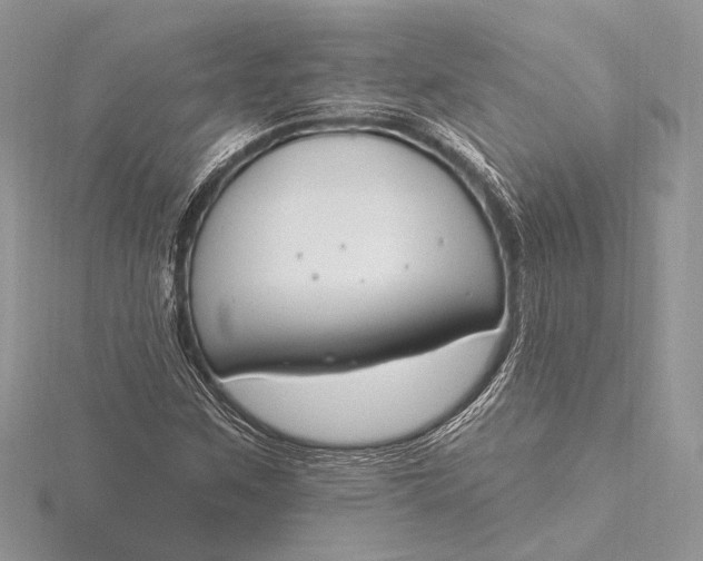 X0000115811259200912041559