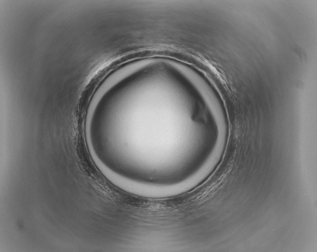 X0000115811263200912041559