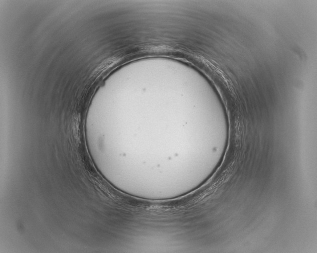 X0000115811265200912041559