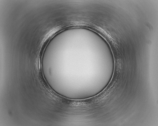 X0000115811269200912041559