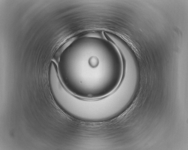 X0000115811273200912041559
