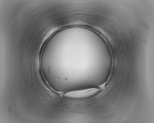 X0000115811274200912041559