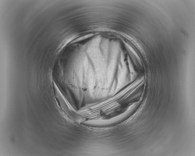 X0000115811289200912041559