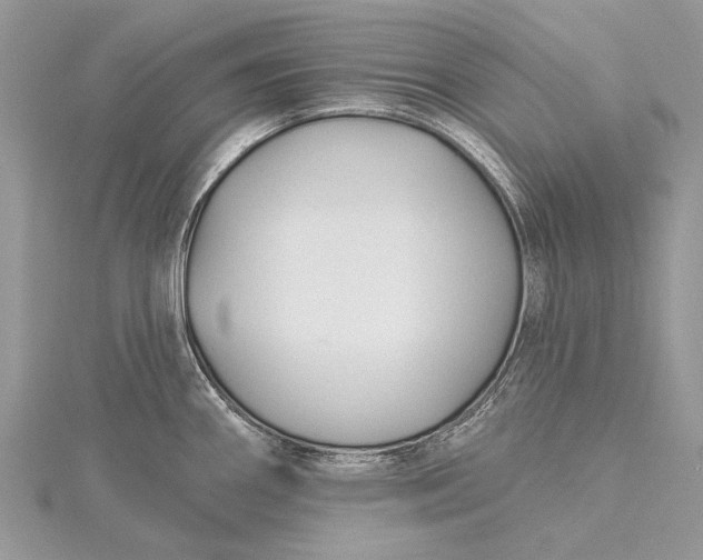 X0000115811290200912041559