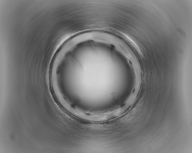 X0000115811291200912041559