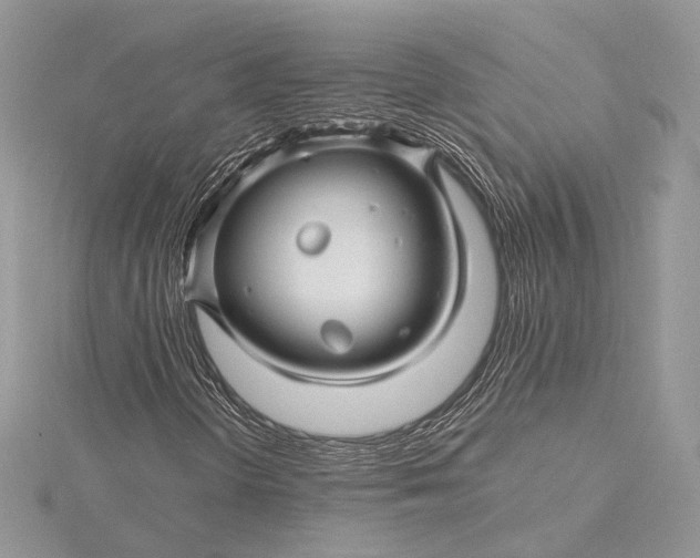 X0000115811298200912041558