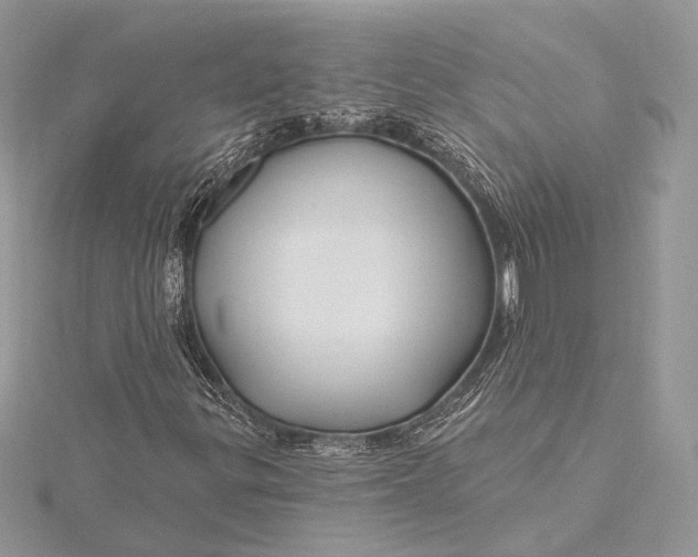 X0000115811299200912041558